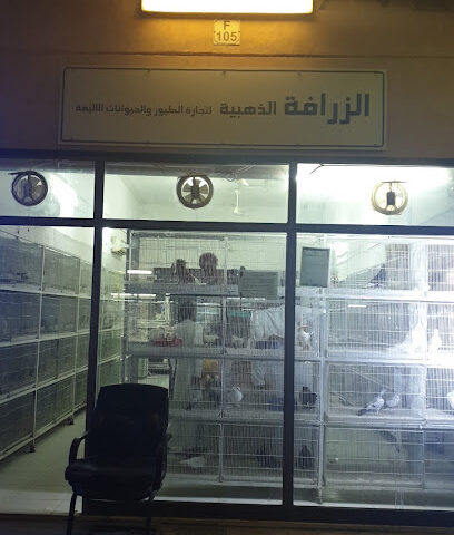 الزرافة الذهبية لتجارة الطيور والحيوانات الاليفة - Abu Dhabi - +971 55 962 8480
