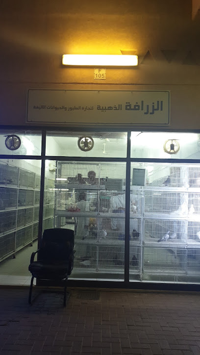 الزرافة الذهبية لتجارة الطيور والحيوانات الاليفة - United Arab Emirates|Al Noud - أبو ظبي|5R66+R48