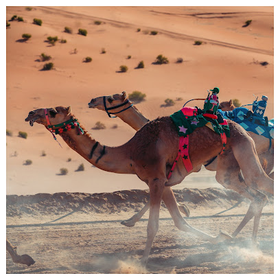 Pixelogik Media & Advertising - Abu Dhabi - +971 50 736 6245