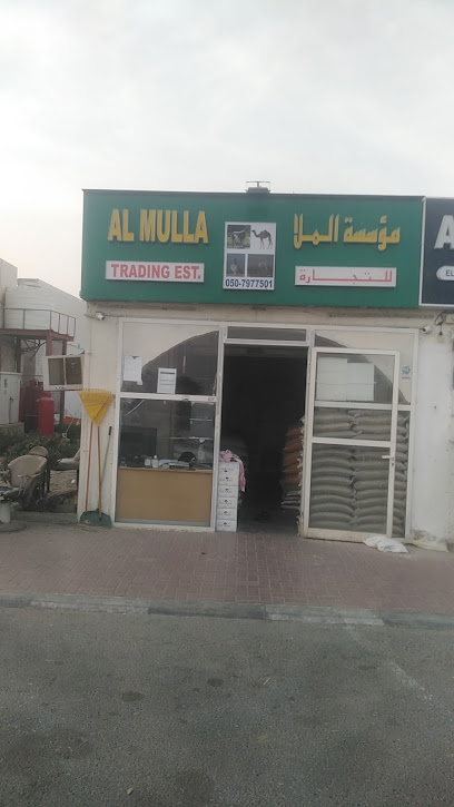 al mulah tradeng - United Arab Emirates|Al Salamah - Umm Al Quawain|E11 - Al SalmahAl