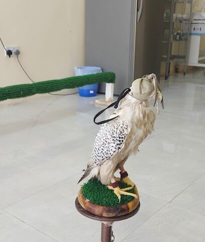 عيادة الثريا البطيرية AL THURAYA VETERINARY CLINIC - Abu Dhabi -