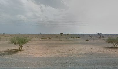 Al majal birde - Abu Dhabi -