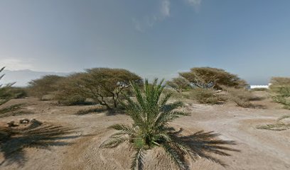 FNCT site office - Abu Dhabi -