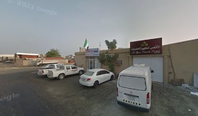 Al Safwah Building Contracting LLC الصفوه لمقاولات البناء - Abu Dhabi - +971 55 559 7734