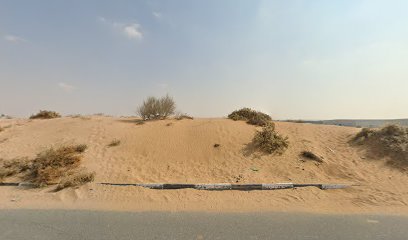 Sharjah Waste to Energy Project - AL Futtaim Engineering - Abu Dhabi -