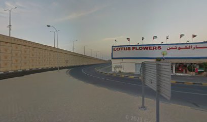 MSA -  - +971 50 501 0664